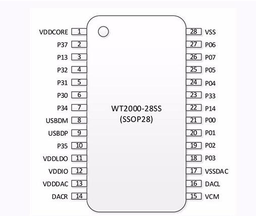 WT2000-28SS Programmable Audio Recording Chip