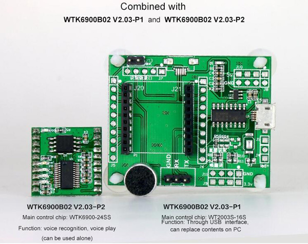 WTK6900B02 Voice Recognition Module