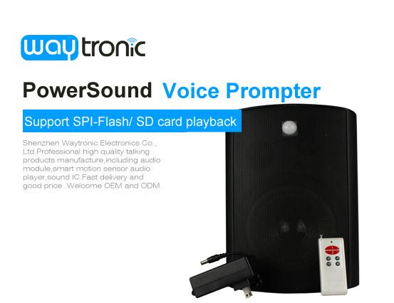 PowerSound Hifi PIR Motion Activated Speaker