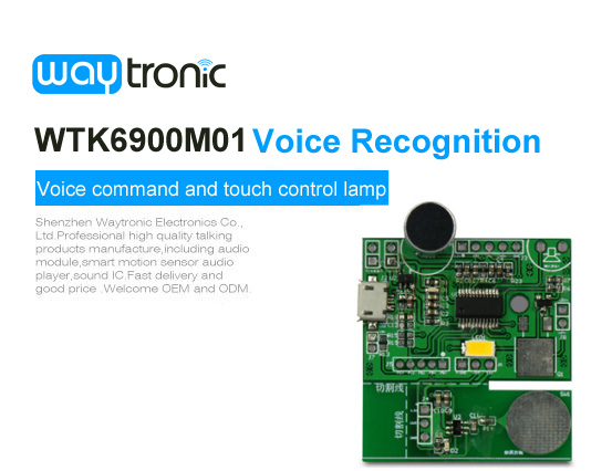 WTK6900M01 Voice Command LED Light Module