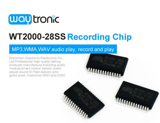 WT2000-28SS Programmable Audio Recording Chip