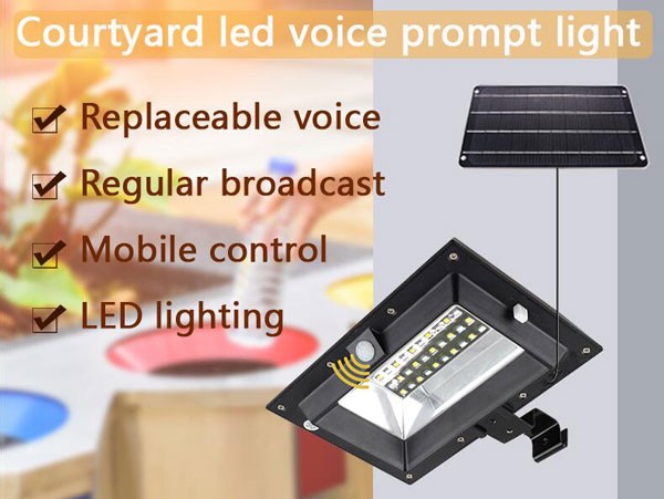 WT-WS4 courtyard outdoor voice reminder